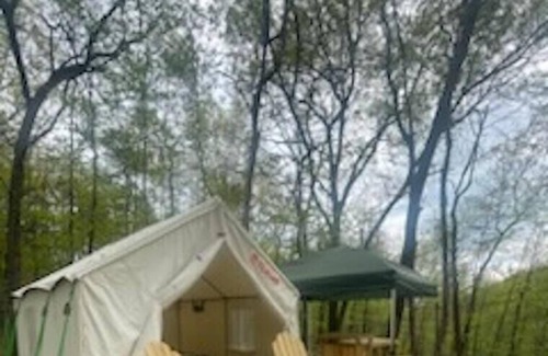 Lehighton RV Rental | Tentrr Signature Site - Mountain Spring Retreat