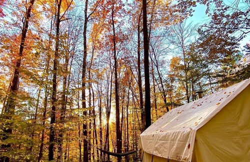 Rochester RV Rental | Tentrr Signature Site - Sugar Shack
