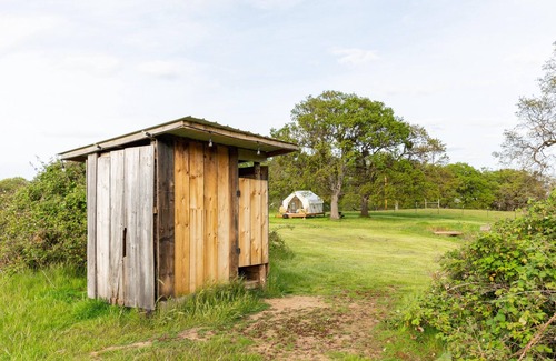 Central Point RV Rental | Tentrr Signature Site - Ancient Oak at Lane Creek Reserve