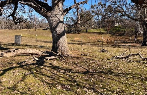 Central Point RV Rental | Tentrr Signature Site - Ancient Oak at Lane Creek Reserve