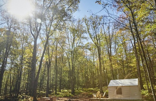 Mongaup Valley RV Rental | Tentrr Signature Site - Swinging Bridge Sanctuary