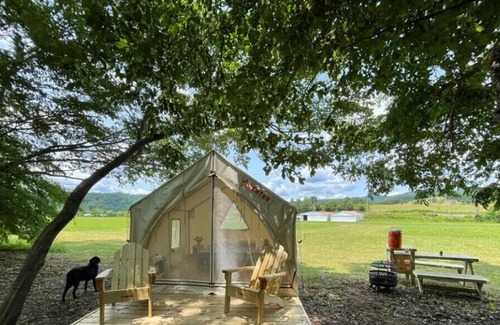 Pence Springs RV Rental | Tentrr Signature Site - Stearman