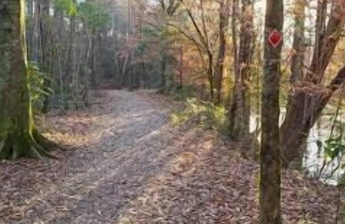 Talisheek RV Rental | Tentrr State Park Site - Louisiana Bogue Chitto State Park - Gorge Trail O - Sin