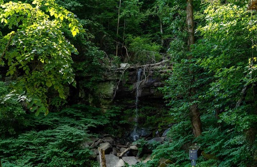 Ansted RV Rental | Tentrr State Park Site - WV Hawk's Nest State Park - Site I - Single Camp