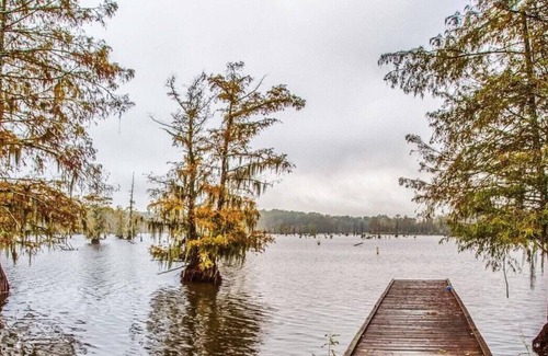 Saint Landry RV Rental | Tentrr State Park Site - Louisiana Chicot State Park - Site A - Single Camp