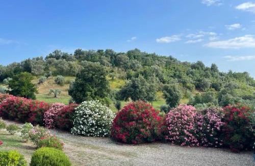 Montemassi House | Tenuta Montemassi Podere Montauzzo