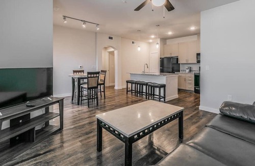 Elmo Apartment | Texas Corporate Housing Professional Apartment