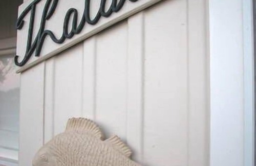 Skenes Creek House | Thalasa Cottage - Absolute Oceanfront, Cosy, Pet Friendly , Massive Deck