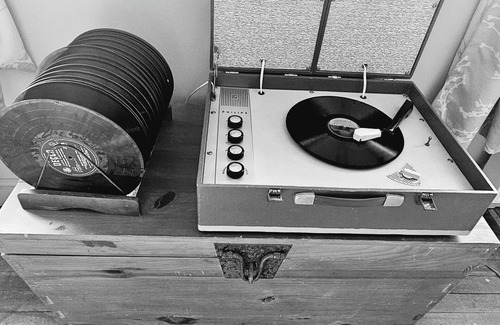 Catton House | The Allendale Wolf