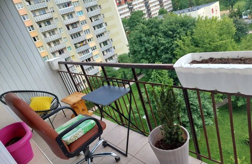 Bialystok Apartment | The apartment is in heart of Bialystok, in lovely central neighbourhood area, ab