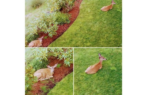 Central Oregon Apartment | The Apartment Suite at City Nature Preserve