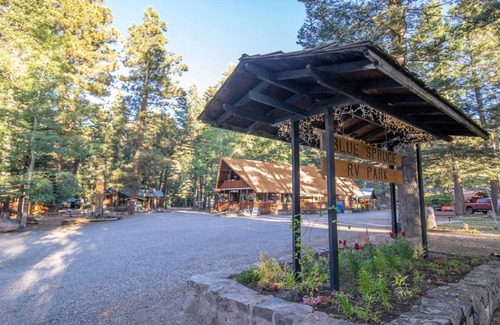 Bayfield Cabin | The Blue Fox Cabin #8