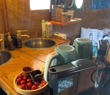 Ovar Boat Rental | The Boat