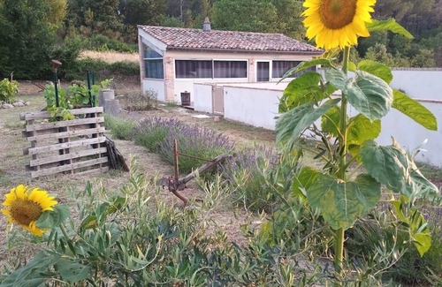 Saint-Antonin-du-Var Cottage | the Cabanon: "Ideal place for lovers of cycling and walking"