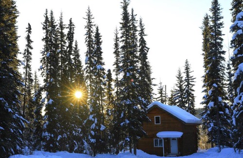 Fairbanks House | The Cabin in the Woods 3 森林小屋 3