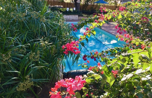 Allandale House | The CHA CHA CHA is a colorfully decorated home in a desirable neighborhood.