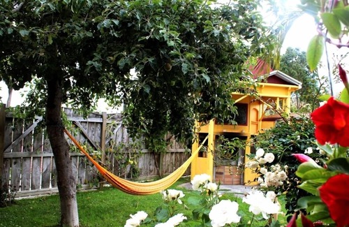 Waimarama Cottage | THE CHALET & Teacastle cottage, Unique private artist cottage in organic garden