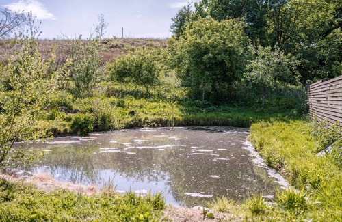 Carlisle Cabin | The Chard with hot tub overlooks a wildlife pond sleeping 2