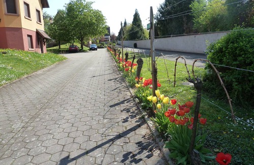 Epfig Cottage | The Chestnut tree. Traditional Alsace house. View of the vineyard and St Odile