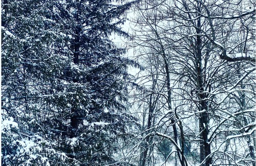 Taghkanic House | The City Farmers Upstate. 15 min from Hudson. Family friendly. Hot tub and Sauna