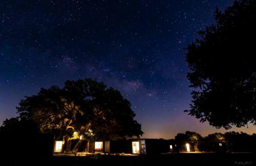 Johnson City House | The Container Retreat @ 290 Wine Trail #6 Enjoy nature!