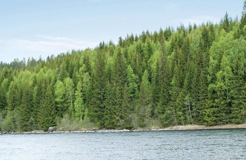 Holjes House | The cottage is secluded and close to Klarälven.
