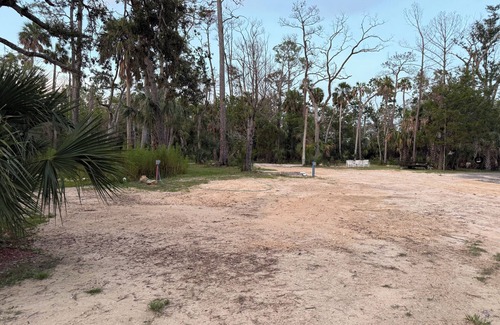 Steinhatchee House | The Creek site- Paradise, Beautiful, private RV retreat in a perfect location!