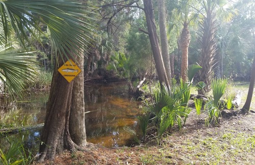 Steinhatchee House | The Creek site- Paradise, Beautiful, private RV retreat in a perfect location!