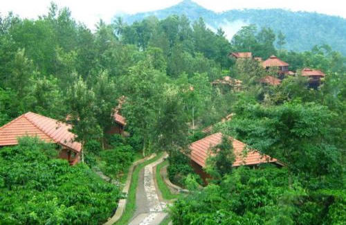 Kolagappara Resort | The Crescent Wayanad Heritage Pool Resort