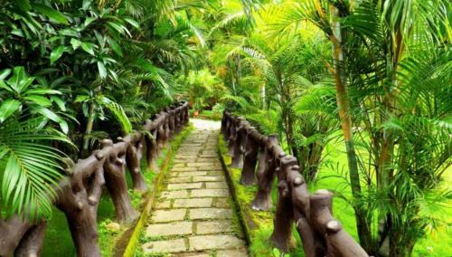 Kolagappara Resort | The Crescent Wayanad Heritage Pool Resort
