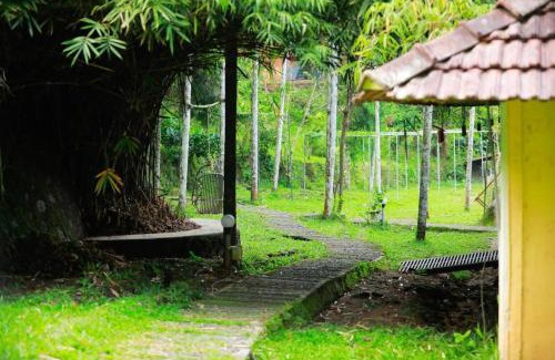 Kolagappara Resort | The Crescent Wayanad Heritage Pool Resort