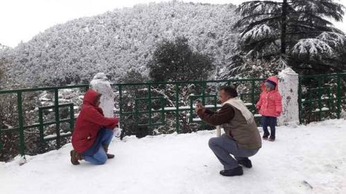Dhanaulti Hotel | The Devan Wood Resort