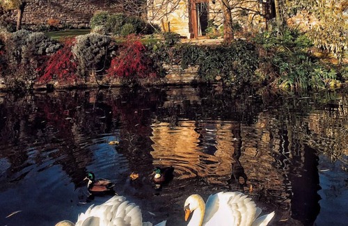Kemerton Cottage | The Dovecote