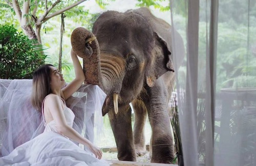 Mae Wang Cabin | The Elephant B&B