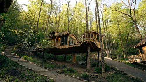Gatlinburg House | The Elm in Treehouse Grove at Norton Creek