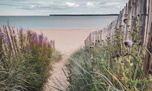Broughty Ferry Apartment | The Estuary