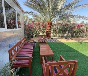 Madinat Zayed Other | the farm break