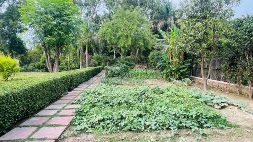 Noida Resort | The galilee farmhouse