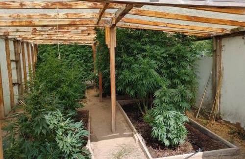 Callender House | The Ganja Getaway