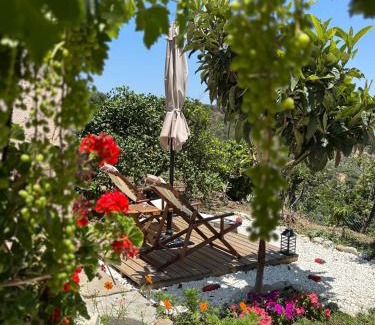Pefki Apartment | The Garden House, Sitia