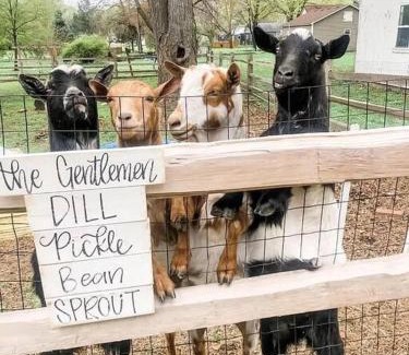 Kaneville House | The Goat Farm