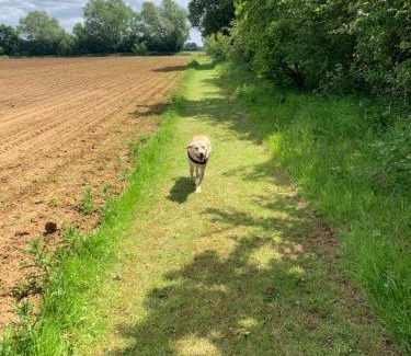 Low Catton House | The Granary, Field House Farm, countryside location near York