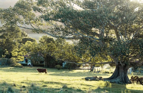 Biddaddaba House | The Granary & Grove