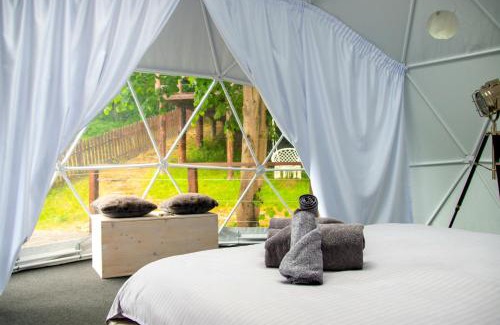 Gura Teghii Other | The Grand Prestige Igloo