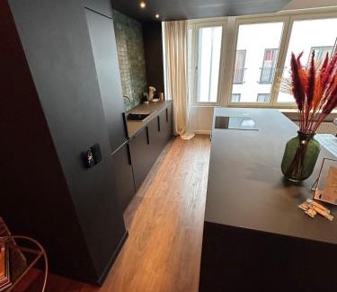 University District Apartment | The Green Gatsby II