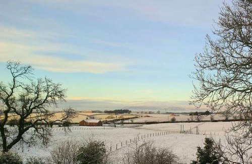 Coatbridge Bed & Breakfast | The Green Monkey Lux Suite at The Grumpy Schnauzer B&B Private Hot Tub, Gym, Breakfast, Stunning!