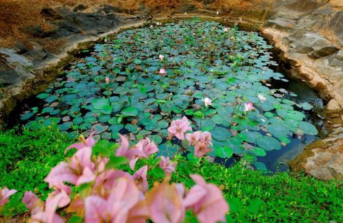 Chittur House | The Hidden Pearl Palakkad by Chakolas Hospitality