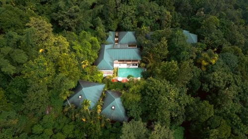 Muttil South Hotel | The Hive, Wayanad