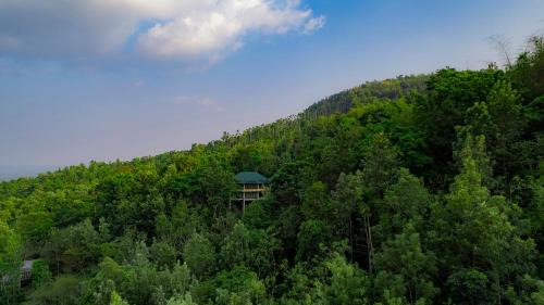 Muttil South Hotel | The Hive, Wayanad