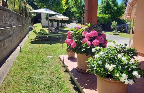 Stiava House | The House of Citrus - amazing country house near Viareggio beach and Lucca
